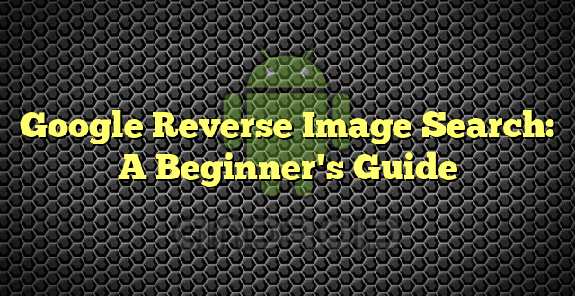 Google Reverse Image Search: A Beginner's Guide