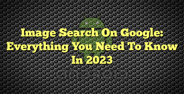 Image Search On Google: Everything You Need To Know In 2023